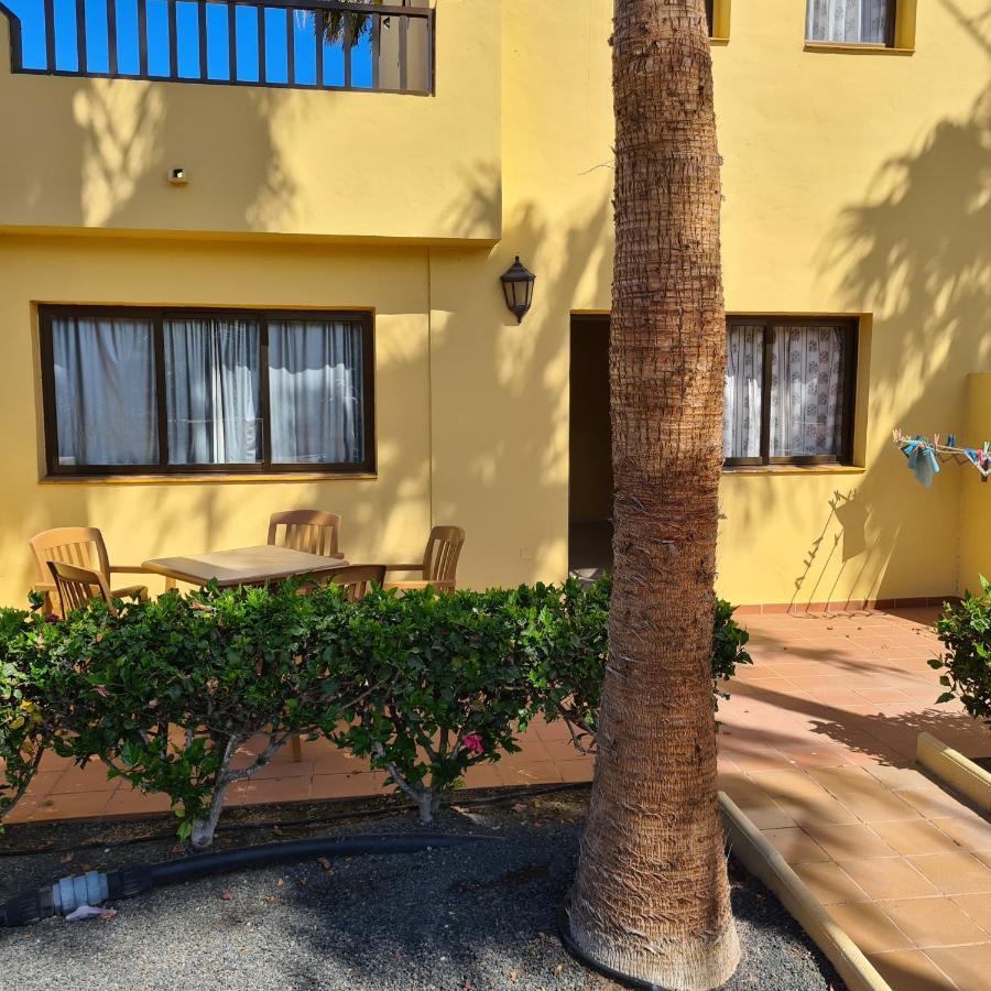 Apartmán Oasis Royal F217 Corralejo Exteriér fotografie