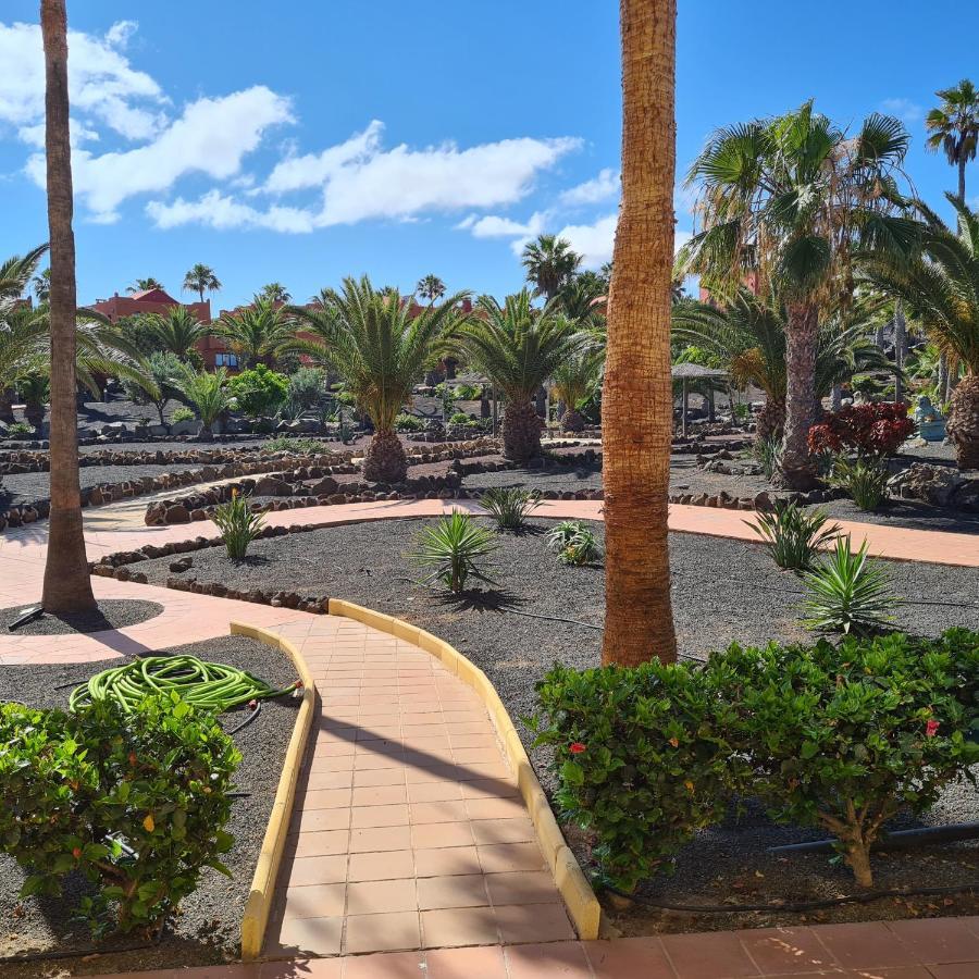 Apartmán Oasis Royal F217 Corralejo Exteriér fotografie