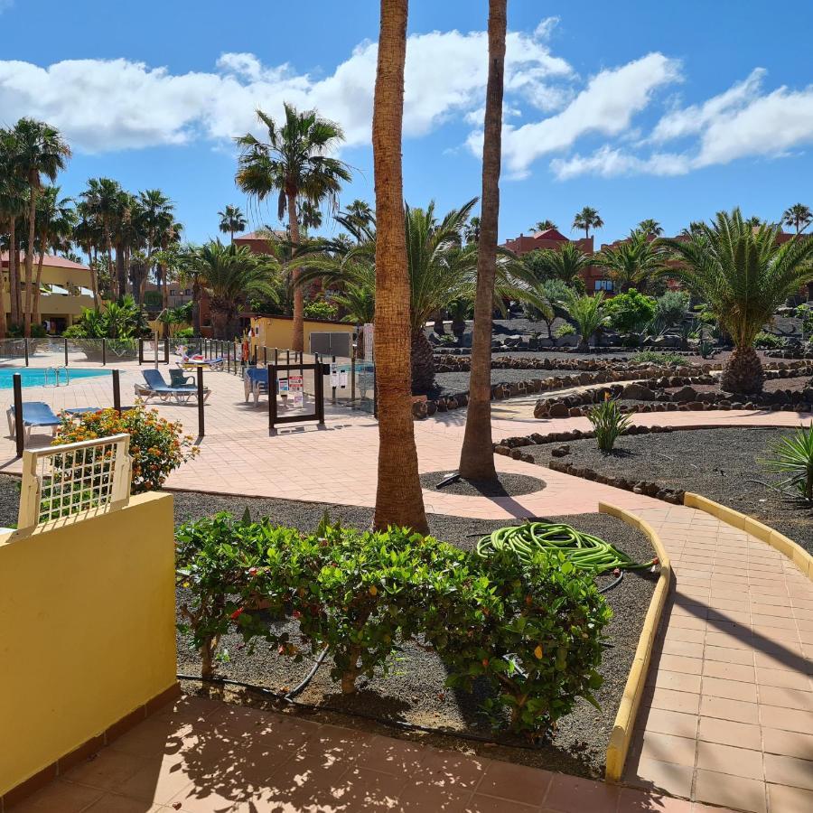 Apartmán Oasis Royal F217 Corralejo Exteriér fotografie